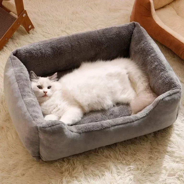 Chats Lit Dog Mat Beds Biens Pet Chiot Accessoires Tous les produits Coussins de chat Accessoires Maison Habitats Fournitures de maison – Image 2