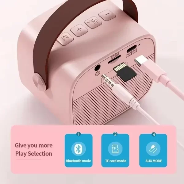 Portable sans fil double microphone Karaoke machine HomeKTV DSP système Bluetooth haut-parleur HIFI stéréo surround pour enfants cadeau de fête – Image 4