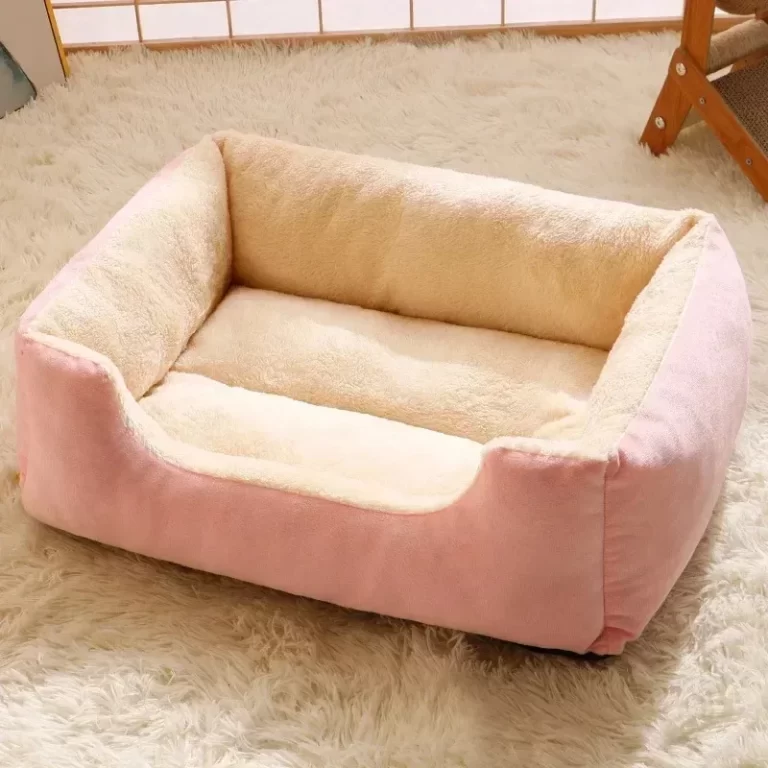 Chats Lit Dog Mat Beds Biens Pet Chiot Accessoires Tous les produits Coussins de chat Accessoires Maison Habitats Fournitures de maison – Image 4