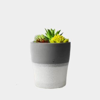 Diffuseur d'humidificateur de plantes vertes 150ML Simulation silencieuse Ultrasonic Aroma Air Atomizer Brume Maker pour la chambre à coucher du bureau à domicile