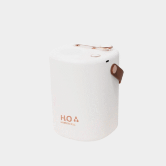 Humidificateur d'air à double buse de 2L Desktop Home Bedroom Offiec Diffuseur d'huile silencieux avec volume de brouillard élevé