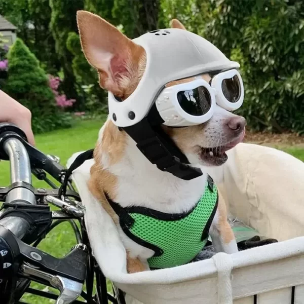 ​ ​ Casque réglable pour animaux de compagnie certifié CE avec lunettes de soleil UV pour chiens et chats-équipement de sécurité de voyage/vélo protection extérieure légère – Image 3