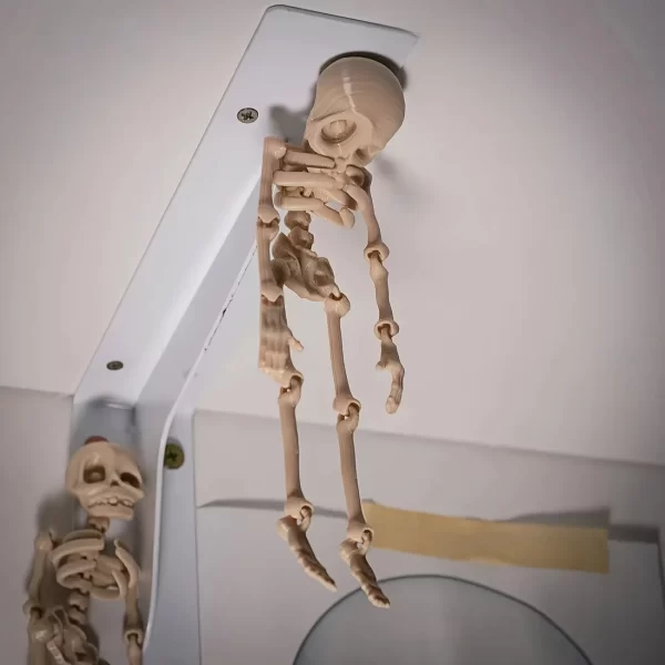 Aimant magnétique pour réfrigérateur, crâne posable, cadeau d'halloween amusant, décoration de cuisine et de salle à manger de pâques, accessoire pour la maison, décor original, 1 pièce – Image 5