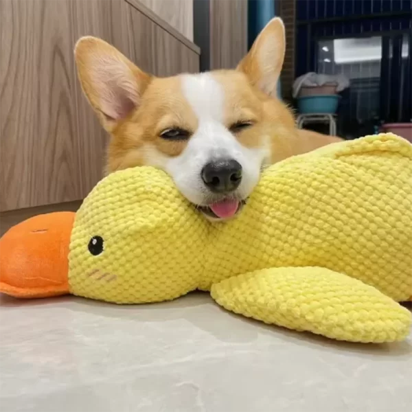 Chien endormi avec un chien câlin canard jouets pour soulager l'ennui du petit canard jaune animal de compagnie interactif en peluche poupée fournitures pour animaux de compagnie – Image 7