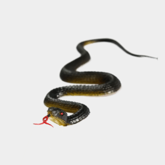 45cm faux jouet en caoutchouc réaliste serpent Simulation Anaconda effrayant Halloween pour effrayer les oiseaux accessoires farces truc jouet accessoires