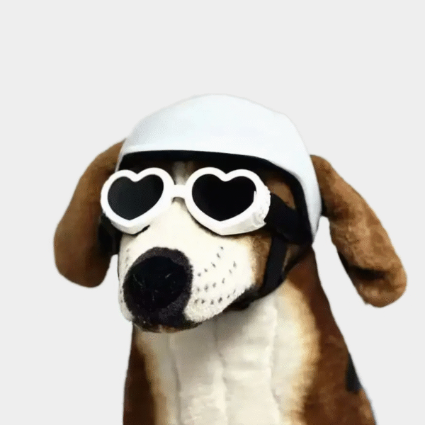 ​ ​ Casque réglable pour animaux de compagnie certifié CE avec lunettes de soleil UV pour chiens et chats-équipement de sécurité de voyage/vélo protection extérieure légère