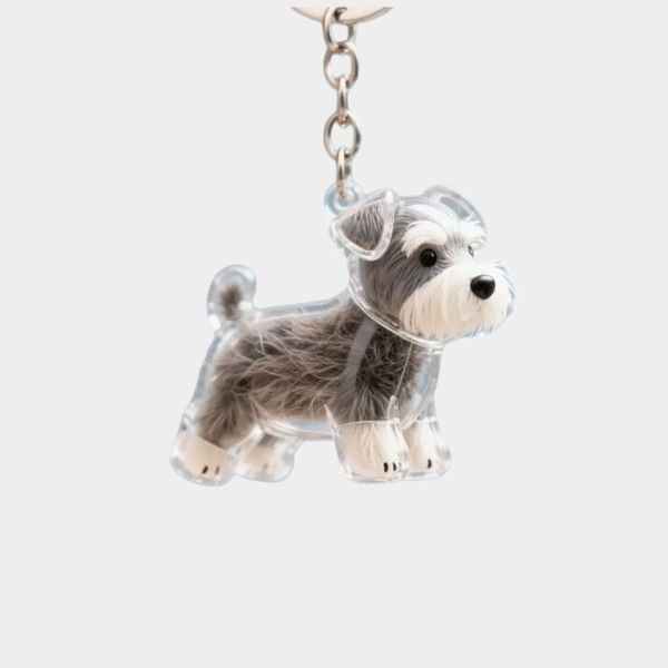 Stockage de cheveux de chien pendentif mignon porte-clés sac pendentif couple de porte-clés de voiture bijoux collection de cadeaux accessoires de décoration