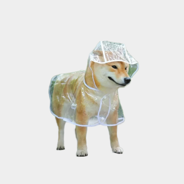 Pet Dog Puppy Raincoat Transparent Pet Hooded Waterproof Jacket Vêtements PVC Doux Petits Chiens Raincoat Puppy Rain Poncho